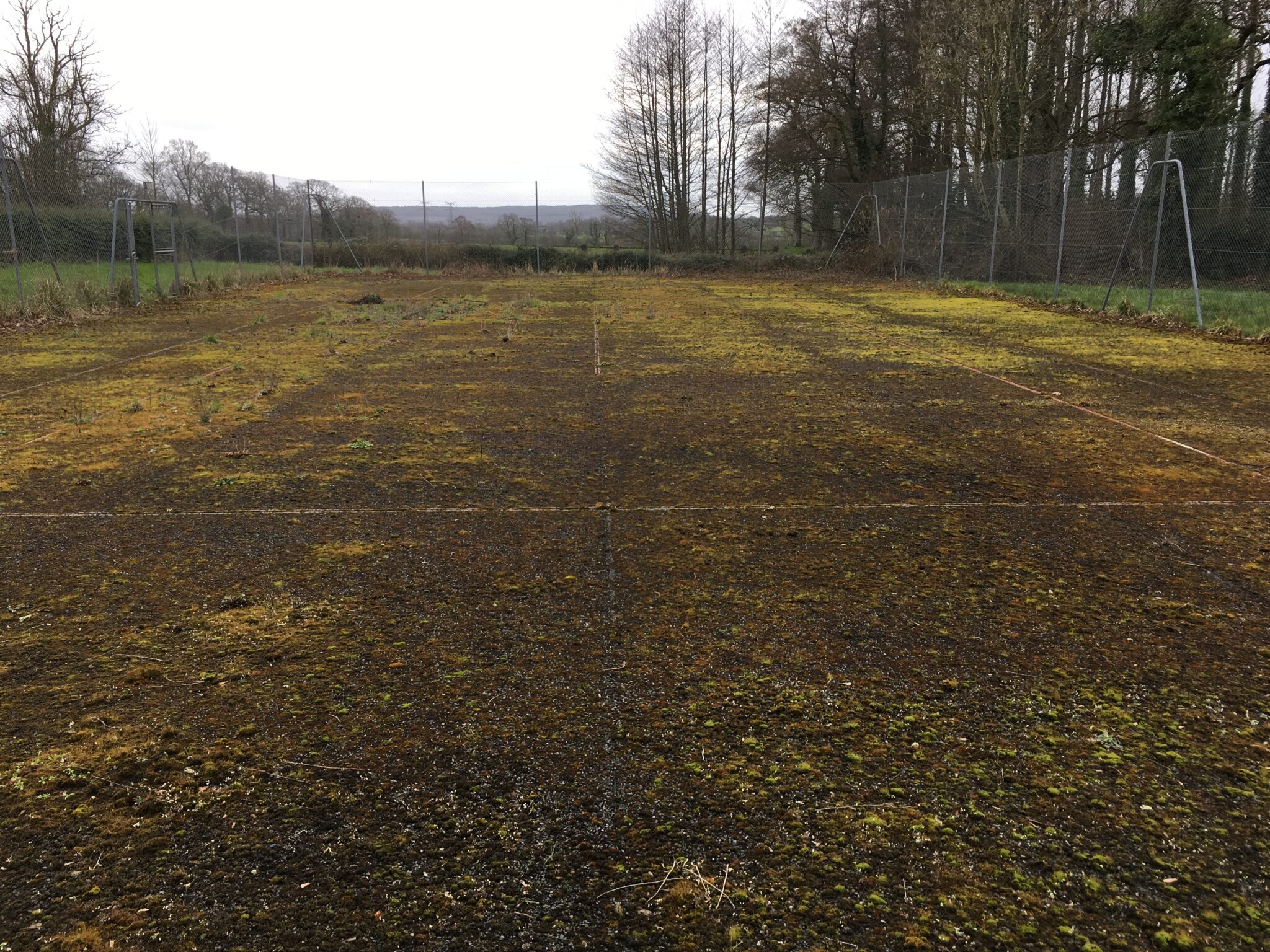 Terrain de sport abandonné et envahi par la nature.